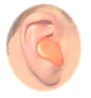 silicone putty earplug - coloured